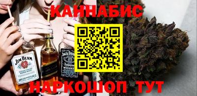 крисы Пенза