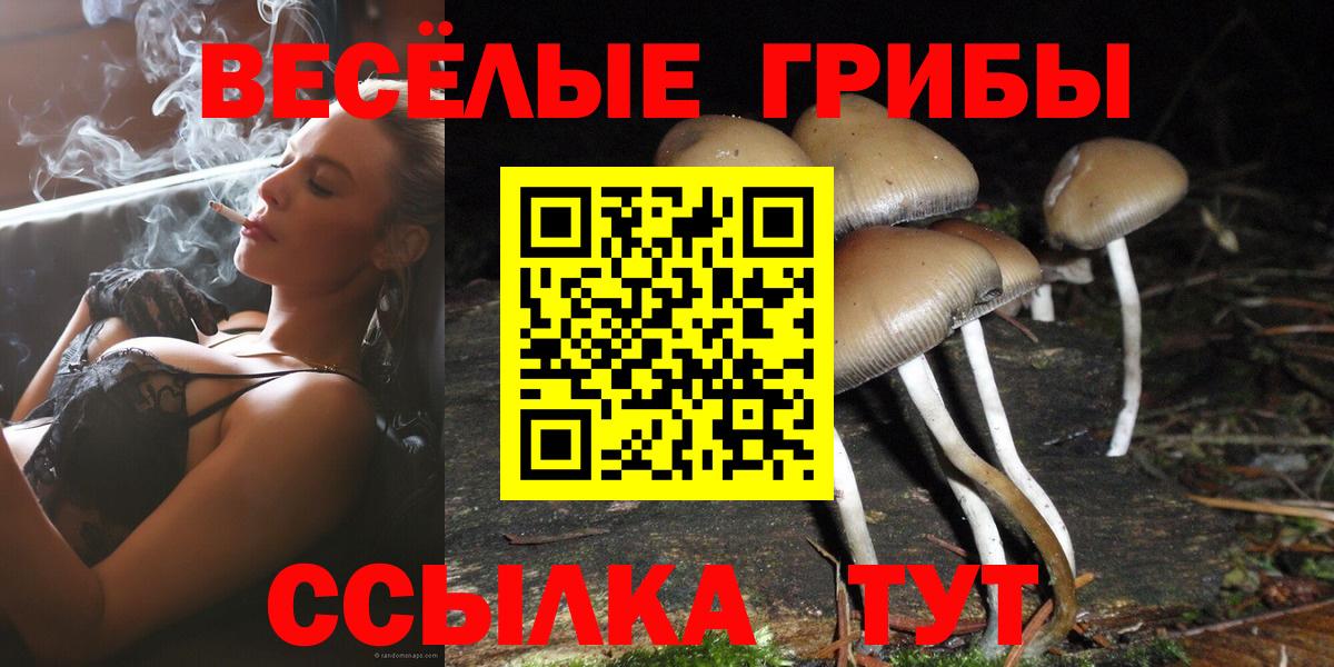 хочу наркоту  Галлюциногенные грибы Psilocybine cubensis  Вход с VPN  Сергиев Посад 