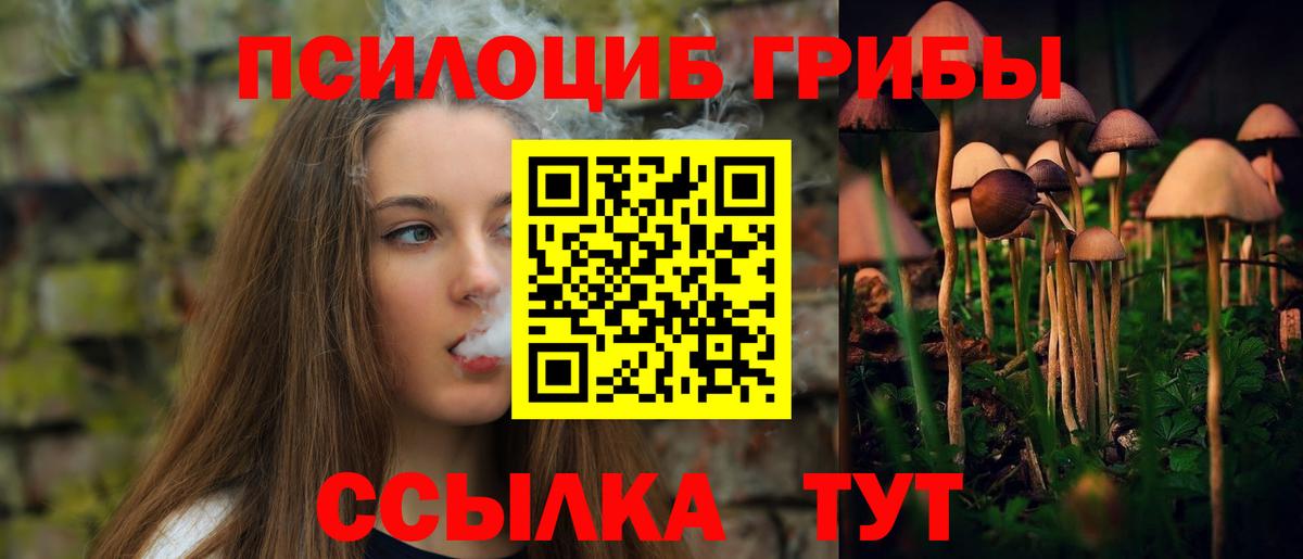 Галлюциногенные грибы GOLDEN TEACHER Сергиев Посад